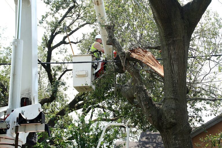Utility worker restoring power after a storm downed a tree